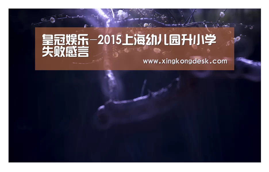 皇冠娱乐-2015上海幼儿园升小学失败感言(图3)