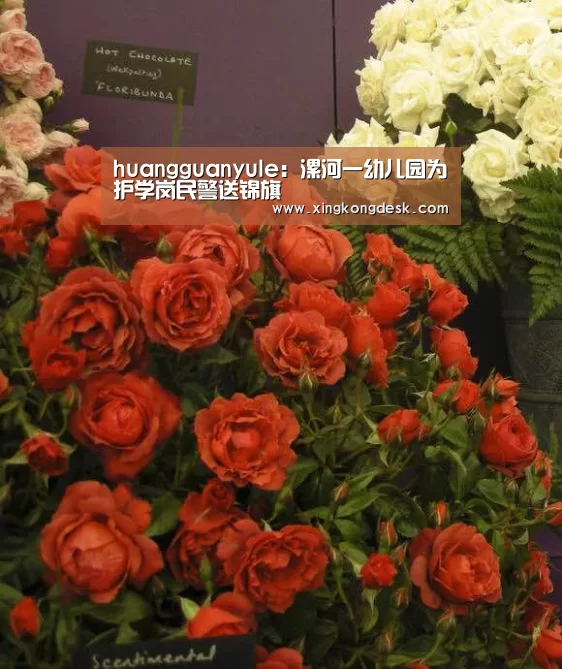 huangguanyule：漯河一幼儿园为护学岗民警送锦旗(图3)