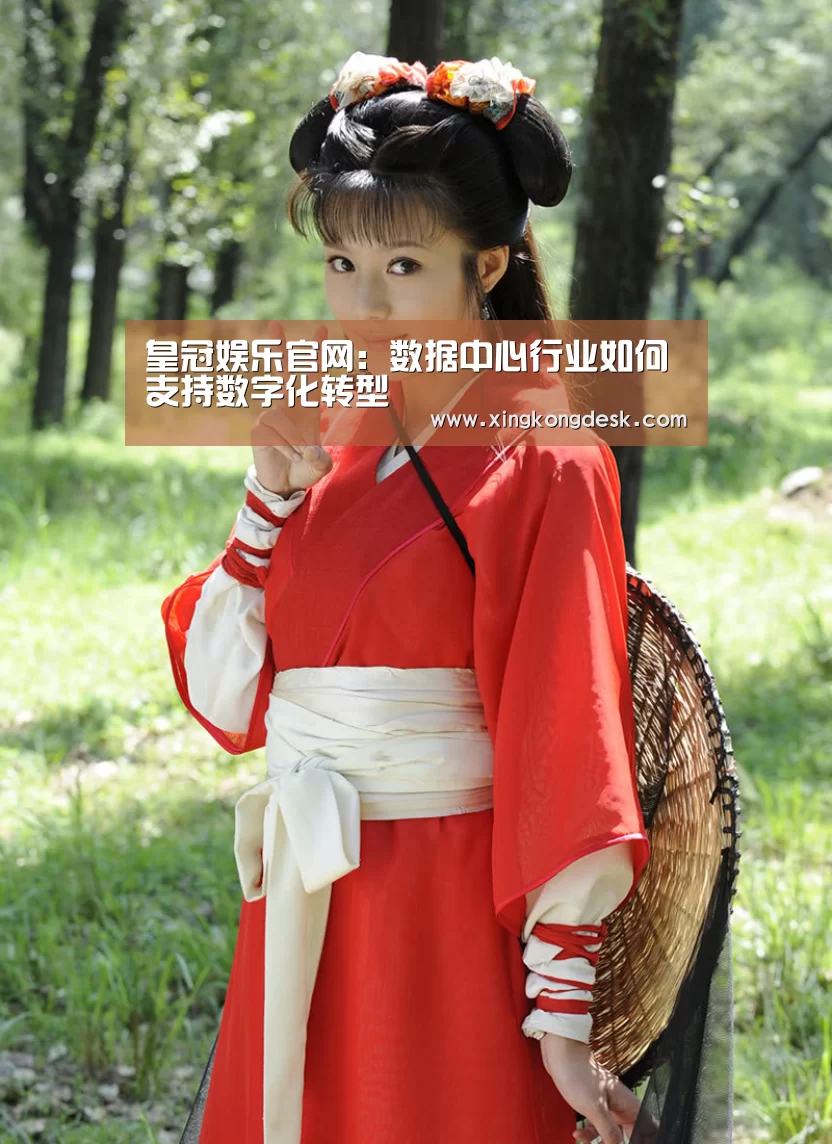 皇冠娱乐官网:数据中心行业如何支持数字化转型(图2) 皇冠网